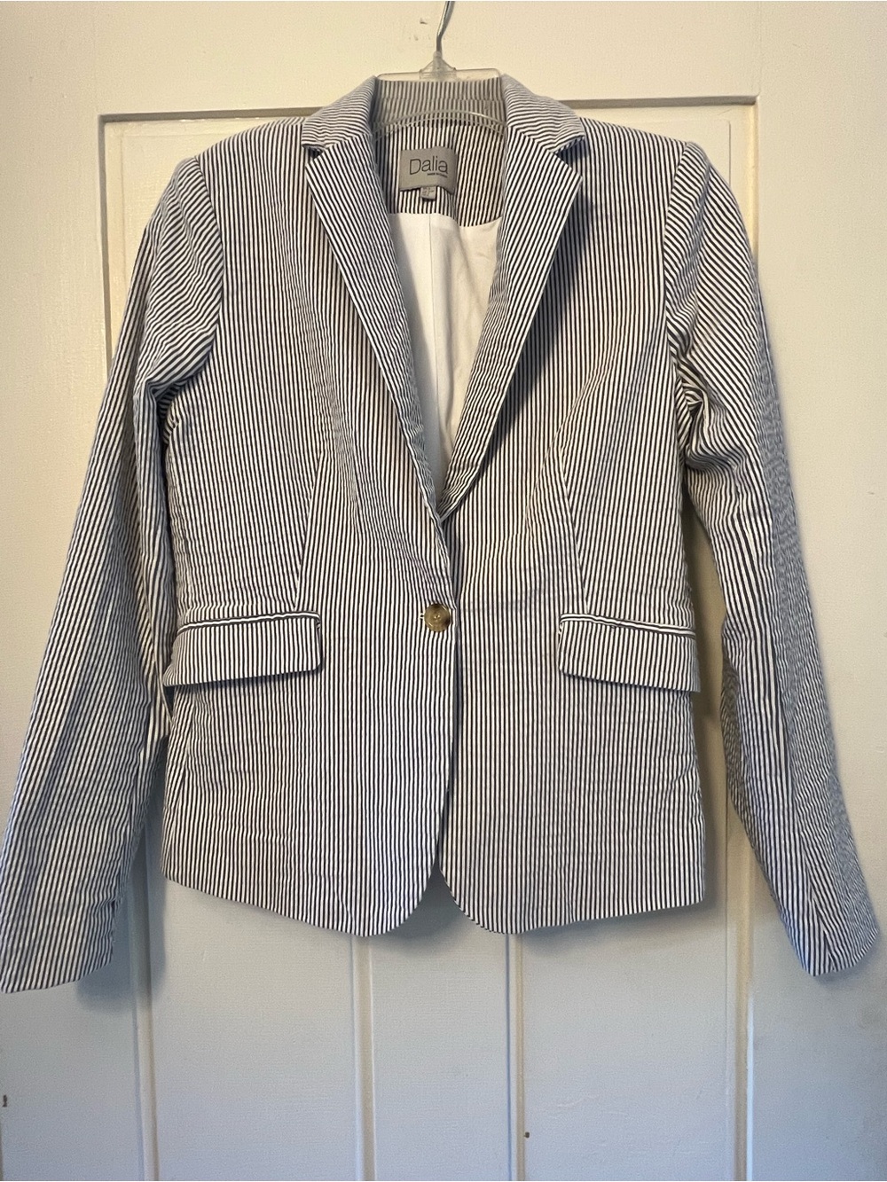 Dalia Navy and White Pinstripe Single-Button Blazer